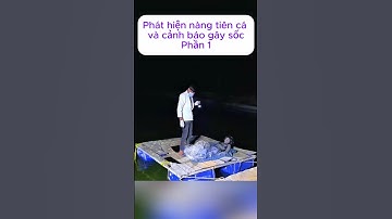 [P.1] Phát hiện nàng tiên cá và cảnh báo gây sốc #shorts