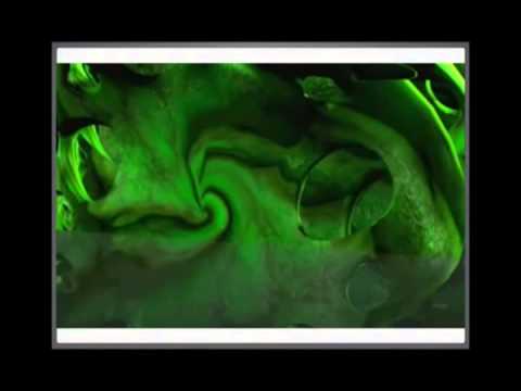 Ø´Ø±Ø­ Endoplasmic Reticulum Ùˆ Golgi Apparatus - Ù…ØªØ±Ø¬Ù… - YouTube