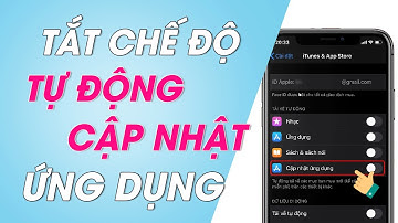 Cách bật, tắt chế độ tự động cập nhật ứng dụng trên iPhone