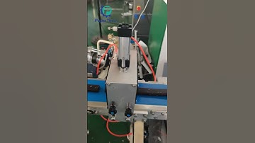 Papa new P308 hard protein dates bar extruder machine for sales