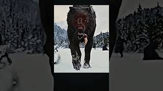 The Actor vs The character ( Twilight saga Wolf pack)