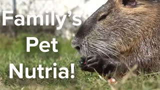 Jefferson Parish family's large rodent pet is local celebrity