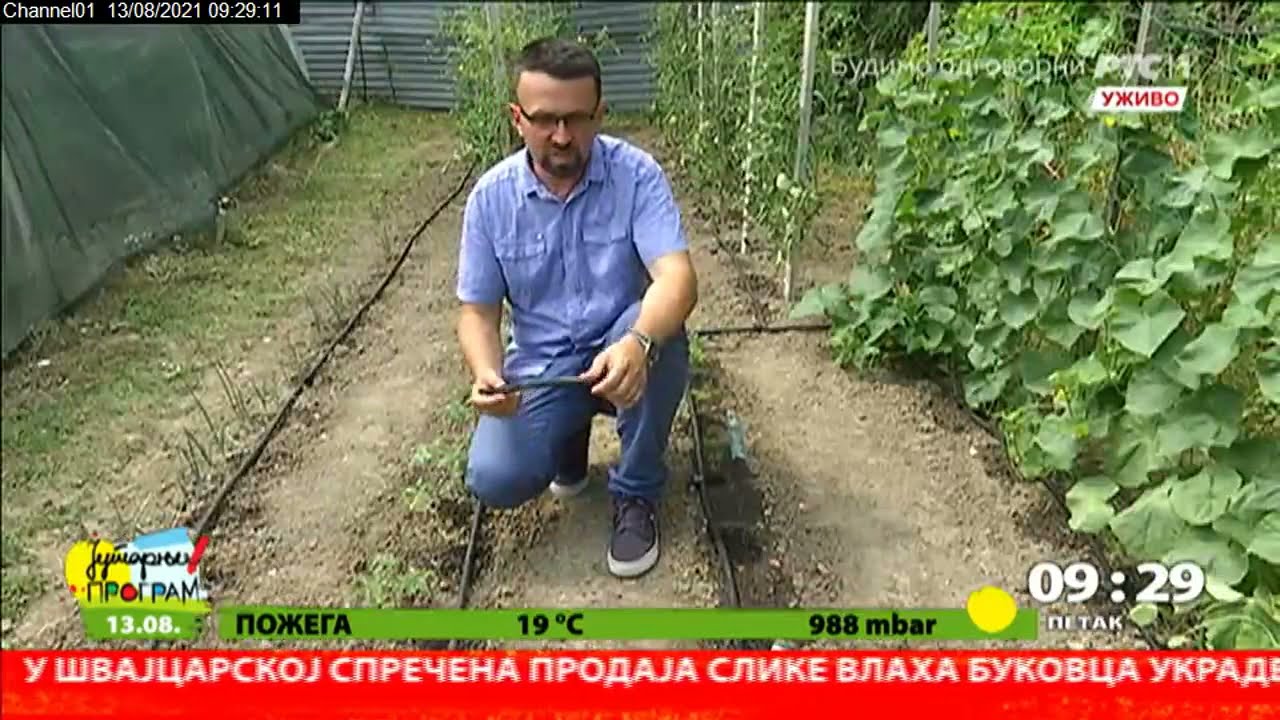 Ritam vrta - zalivanje kap po kap