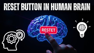 🔴 Scientists Just Found a Memory Reset Button in the Human Brain 🧠