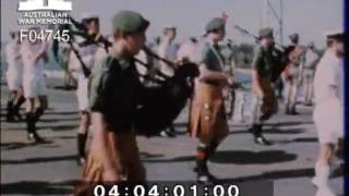 Aloha For Army Dprtv1597 & 1598 Dprs164