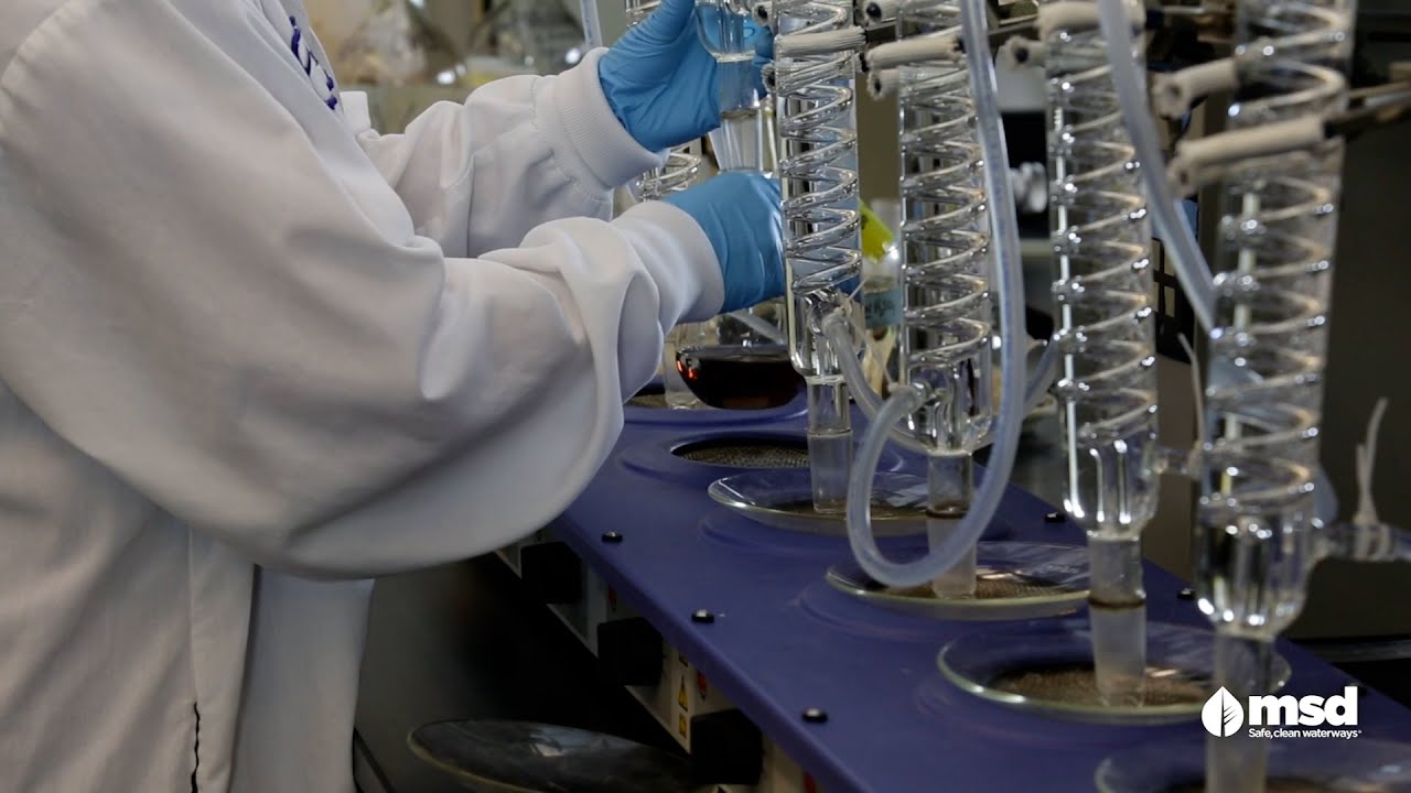 MSD Water Quality Testing YouTube