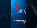 Top 5 MYSTERIOUS Creatures Living Underground 😱 #UndergroundCreatures #MysteriousAnimals