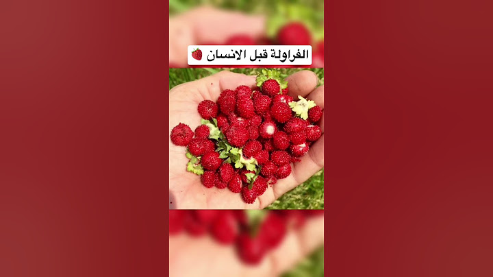 كيف كانت تبدو الفواكه قبل الانسان 🤔