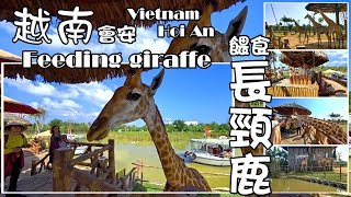 越南會安珍珠島樂園- River Safari餵食長頸鹿Feeding giraffe ...