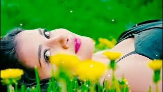 🌹😘Tu Nindo ki Rani Aur main.. l 90's 💗 Jhankar 💗 (Udit Narayan & Anuradha Paudwal) l Super Hit 🎯