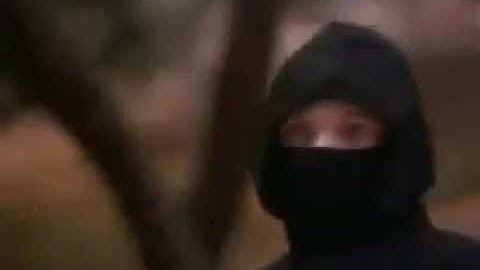 If you Watched 3 Ninjas In the UK: Attacking Grandpa