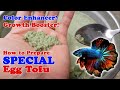 How to prepare  cook special egg tofu  steamed egg  betta food  color enhancer  growth booster