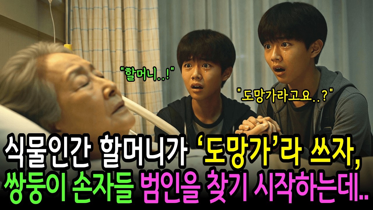 식물인간 할머니가 ‘도망가’라 쓰자, 쌍둥이 손자들이 진짜 범인을 알아내는데..