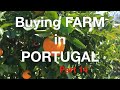 Journey to buying a FARM in PORTUGAL: Part 14