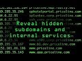 Use CT-Exposer to Discover Internal Subdomains [Tutorial]