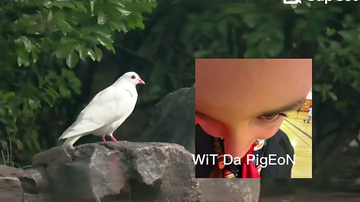 copy E491A334 CDA8 4B4A 9925 614B27D4F019