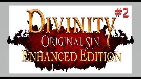 Divinity Original Sin Enhanced Edition walkthrough part 2