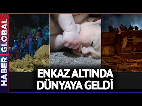 Video: Evde beslenen hayvan kepçe: Tornado kurtulanları ve evcil hayvanları için duygusal toplantılar, Tiny Dik-Dik abladır