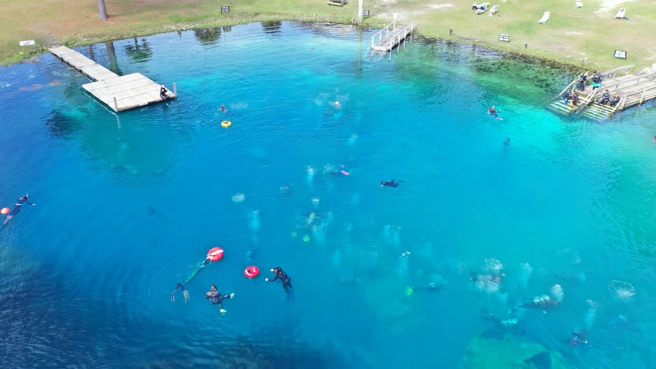 Vortex Springs FreeDiving Fiesta YouTube