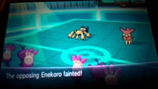 Regular Multi Battles #2(Double Monkey Madness) Wealth