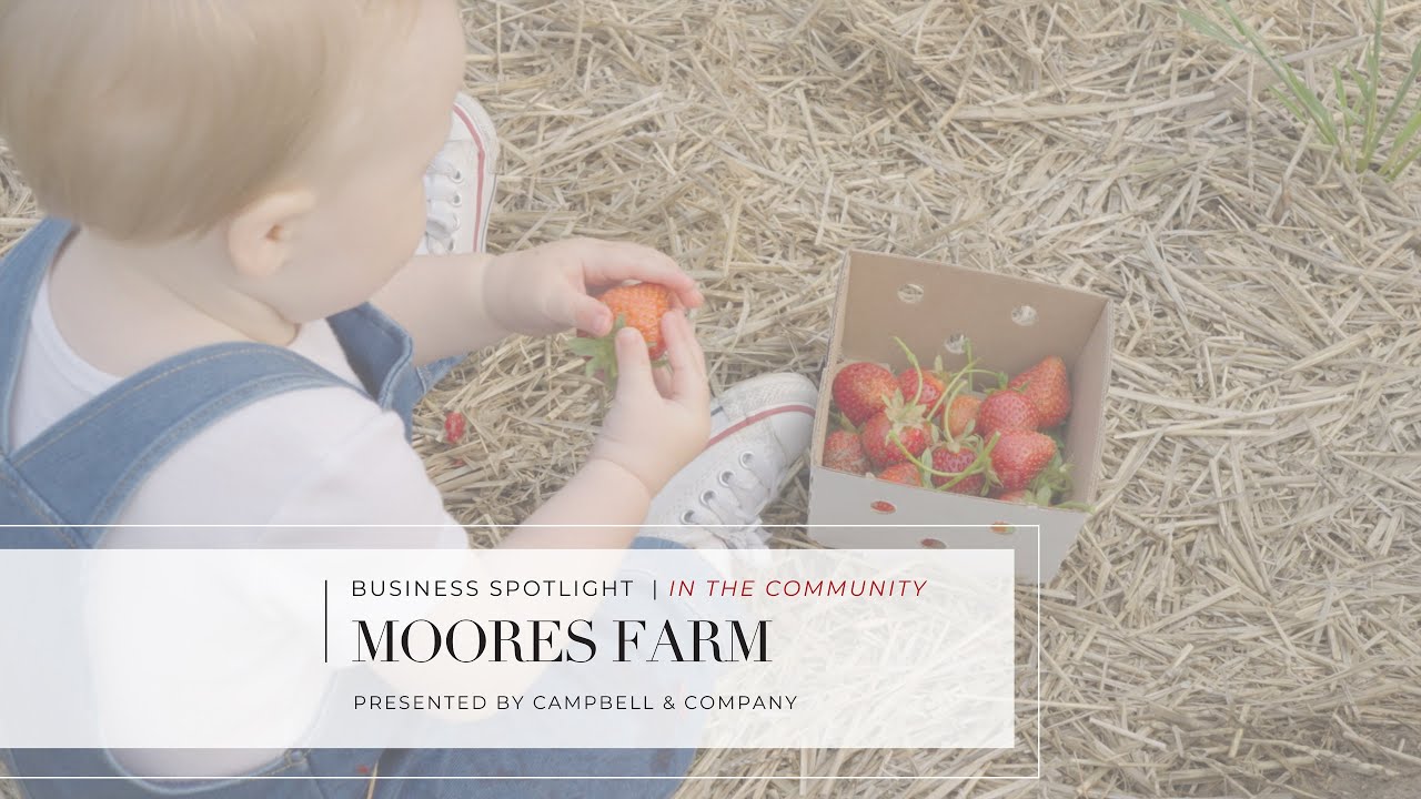 Moore's Farm A Campbell and Company featured business YouTube