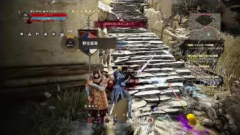 黒い砂漠 象 入手 黒い砂漠 象 入手