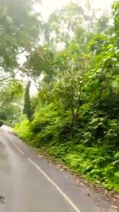 Kukira Kita Asam Dan Garam - Story Wa Keren #shorts #short