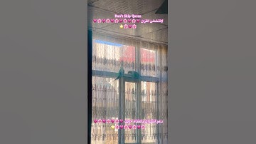 تلاوه خاشعه من الذكر الحكيم #القرآن_الكريم #اكسبلور #cutebird #birds #foryou #cuteparrot #parrot