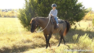 Plan A Smart Secret - 8yr old Cowboy trail riding! - ValleyViewRanch.net