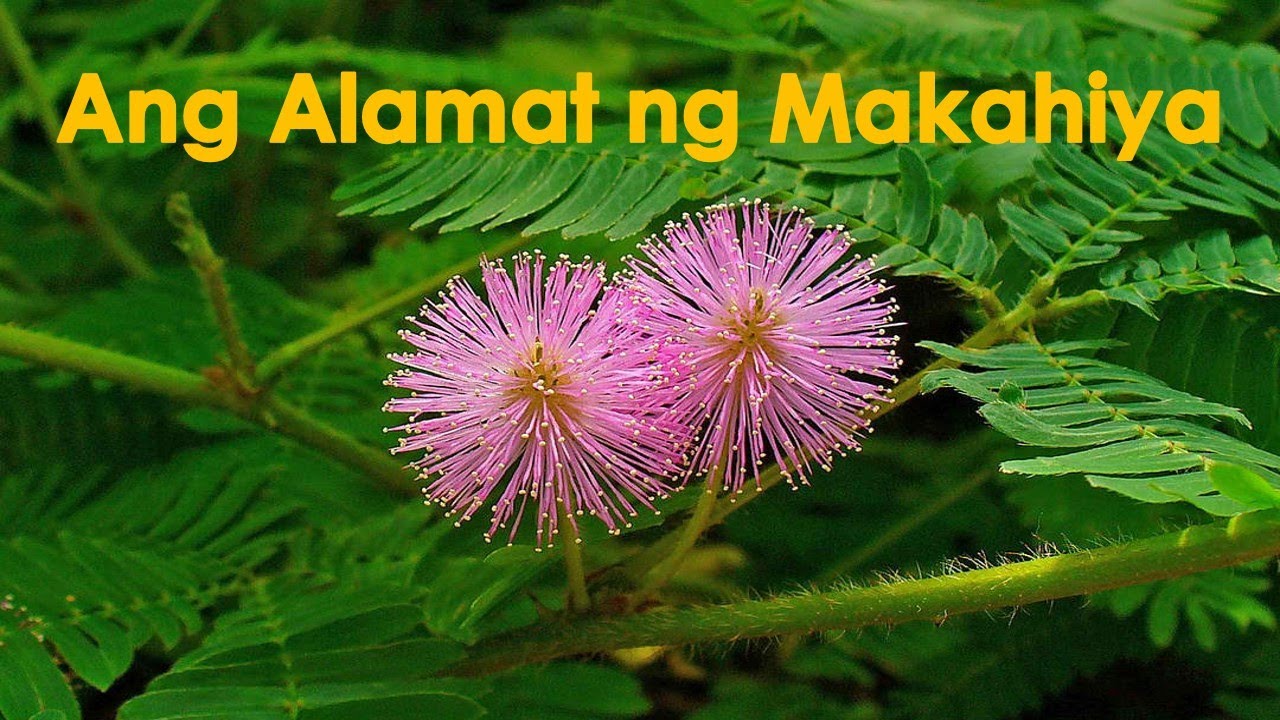 Snow White Setting Of The Story Summary