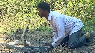 Vava Suresh Kissing a KING COBRA !! | Vava Suresh Snake Master 18-03-2016 |  Kaumudy TV - YouTube