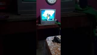 Bunnicula La Familia De Conejos