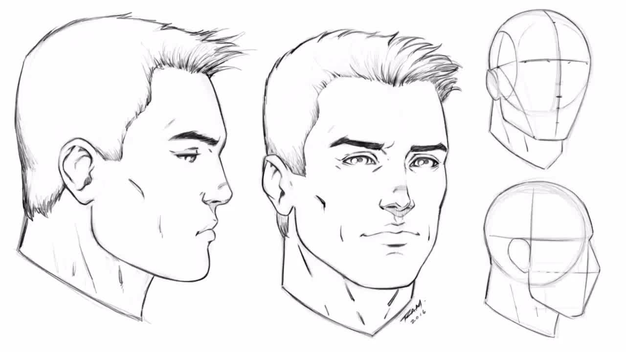 Male Side Profile Drawing Simple Collection of human males standing in ...