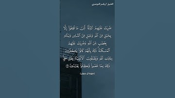 سورة آل عمران ( ١١١-١١٢)/ ياسر الدوسري