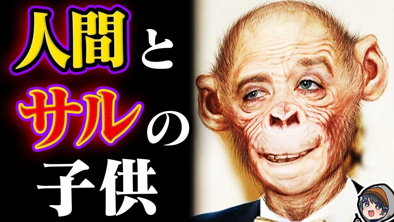衝撃 人間とチンパンジーのハーフが実在した Youtube 衝撃 人間とチンパンジーのハーフが実在した Youtube