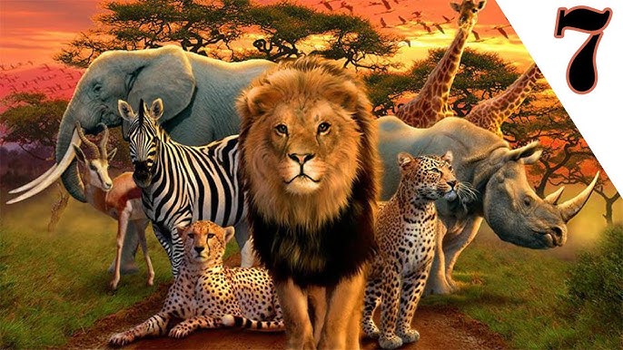 Milf фотогалереясы