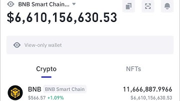 How to create trustwallet view only wallet. https://bscscan.com/accounts