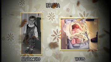 MENU DVD Adobe After Effects + Adobe Encore CS5.5