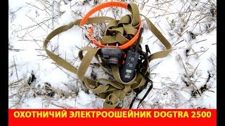 Обзор охотничьего электроошейника Dogtra 2500 T&B