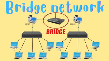 Bridge Network Types  | What is Bridge Network  All About?