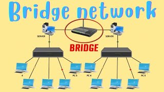Bridge Network Types  | What is Bridge Network  All About?
