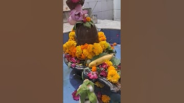 सावन में कार्य सिद्धि के लिए कनेर दूर्वा का करे ये अचूक उपाय#pradeepmishra #shiv#upay#katha#savan