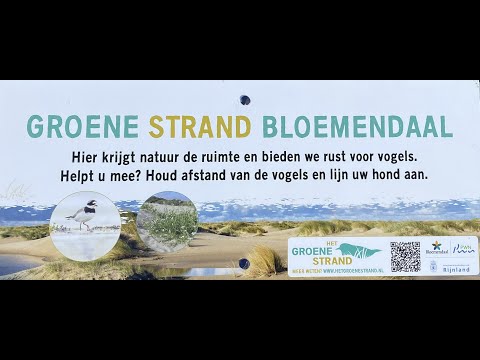Kattendel Strand Bloemendaal