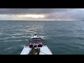 Dolphin sighting - kayak fishing