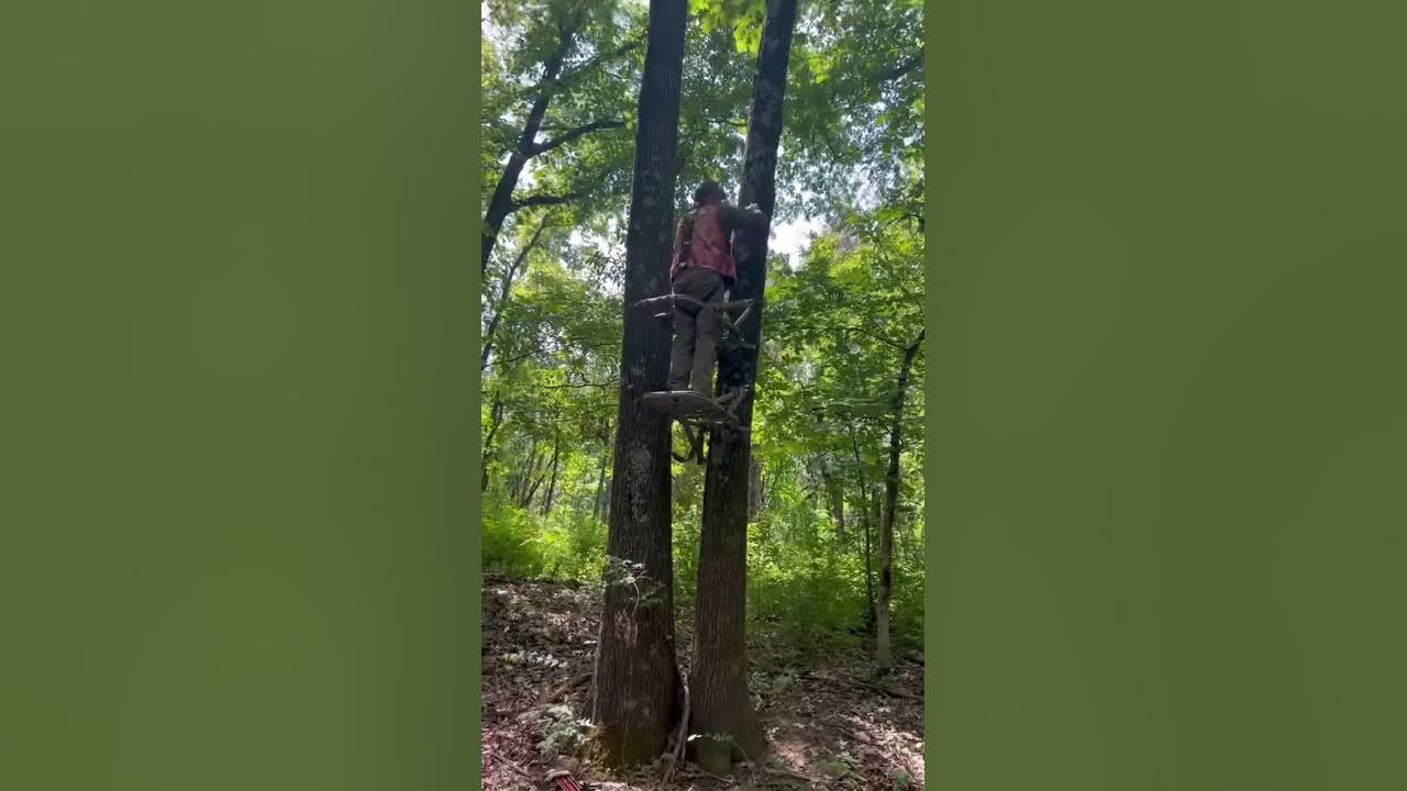 Learned how to hunt using a climber stand, still use it today YouTube