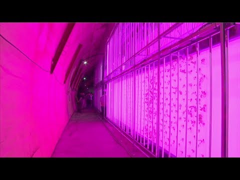 World's first indoor