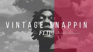 Vintage Snappin - FLIP! (VSKI)