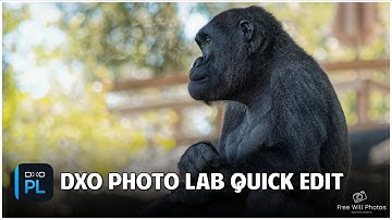 Get the Hang of DxO Photolab 8 Editing!