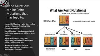 Video Lesson #7 Mutations