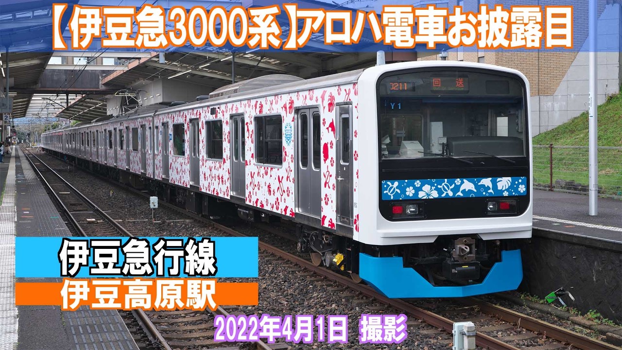 伊豆急3000系】アロハ電車お披露目 - YouTube